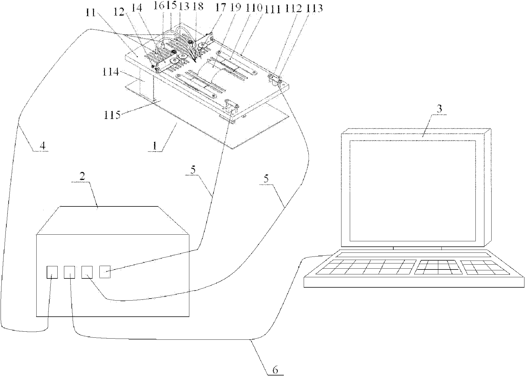 System for determining functions of lower limb nerves and muscles of rat