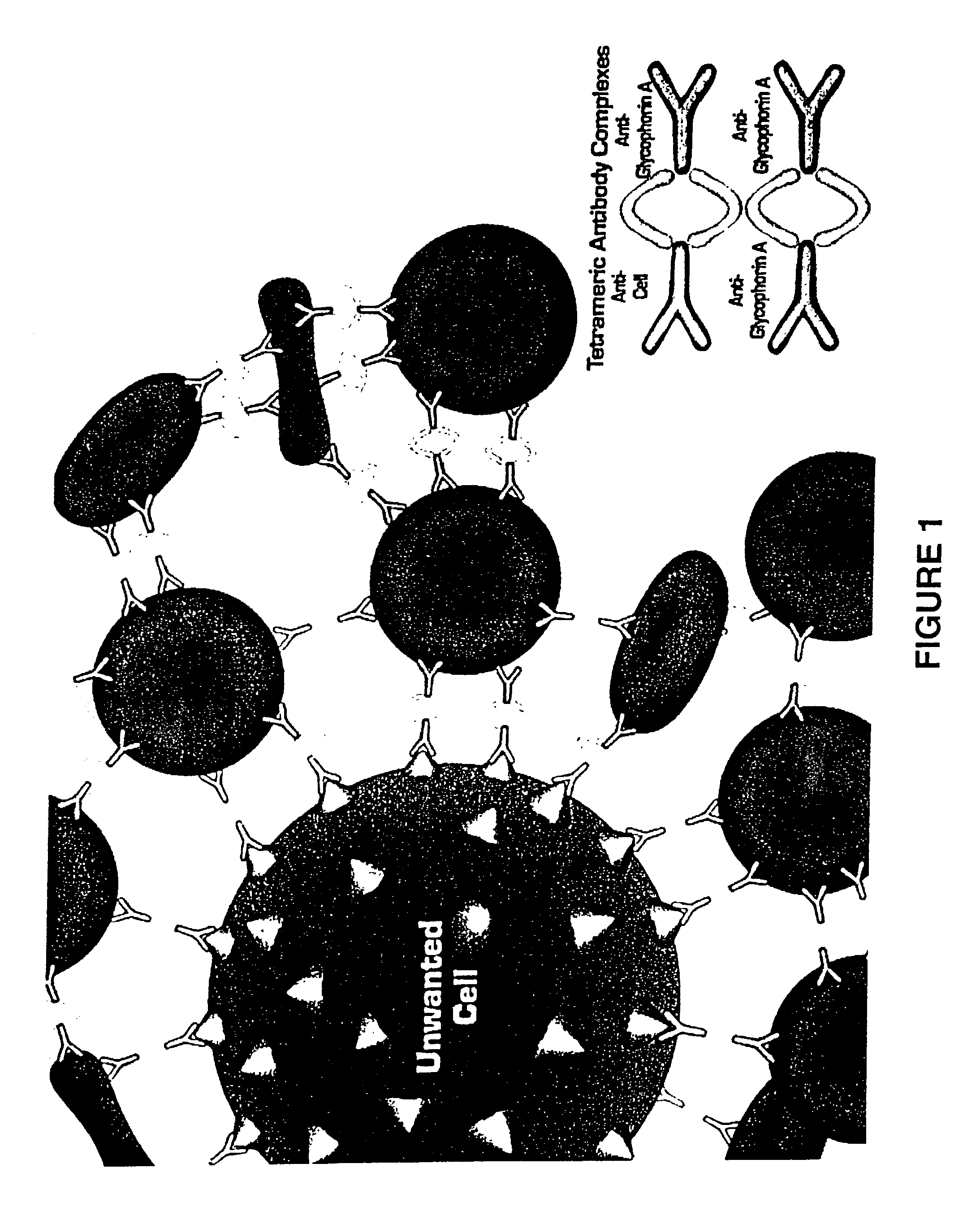 Method for separating cells using immunorosettes