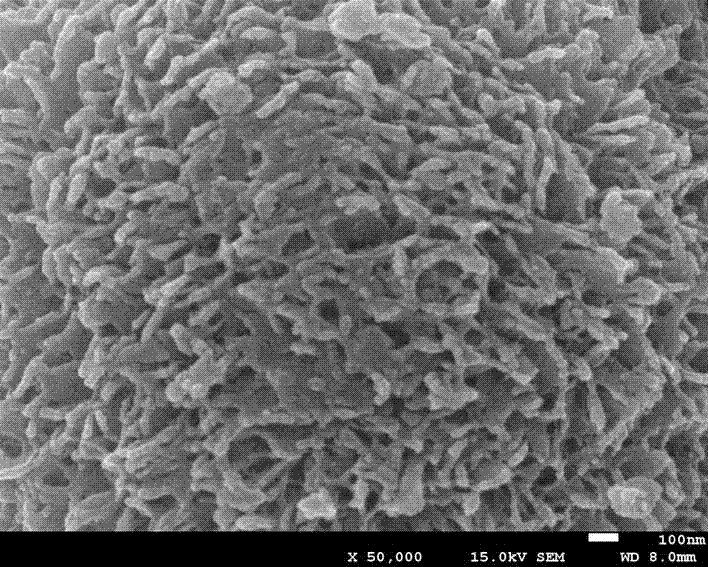 Additive for anode material of lithium ion battery, preparation method of additive, positive electrode material containing additive and lithium ion battery