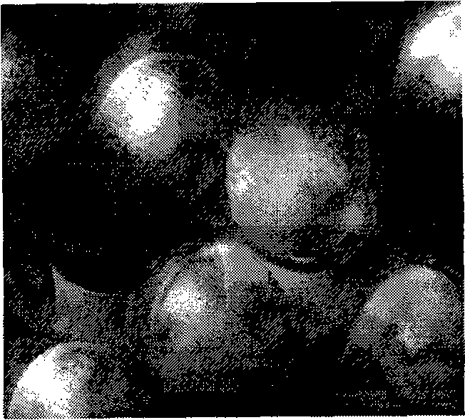 New elastic fiber and preparation method thereof