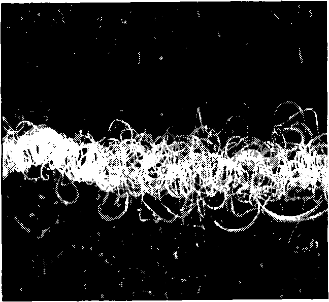 New elastic fiber and preparation method thereof