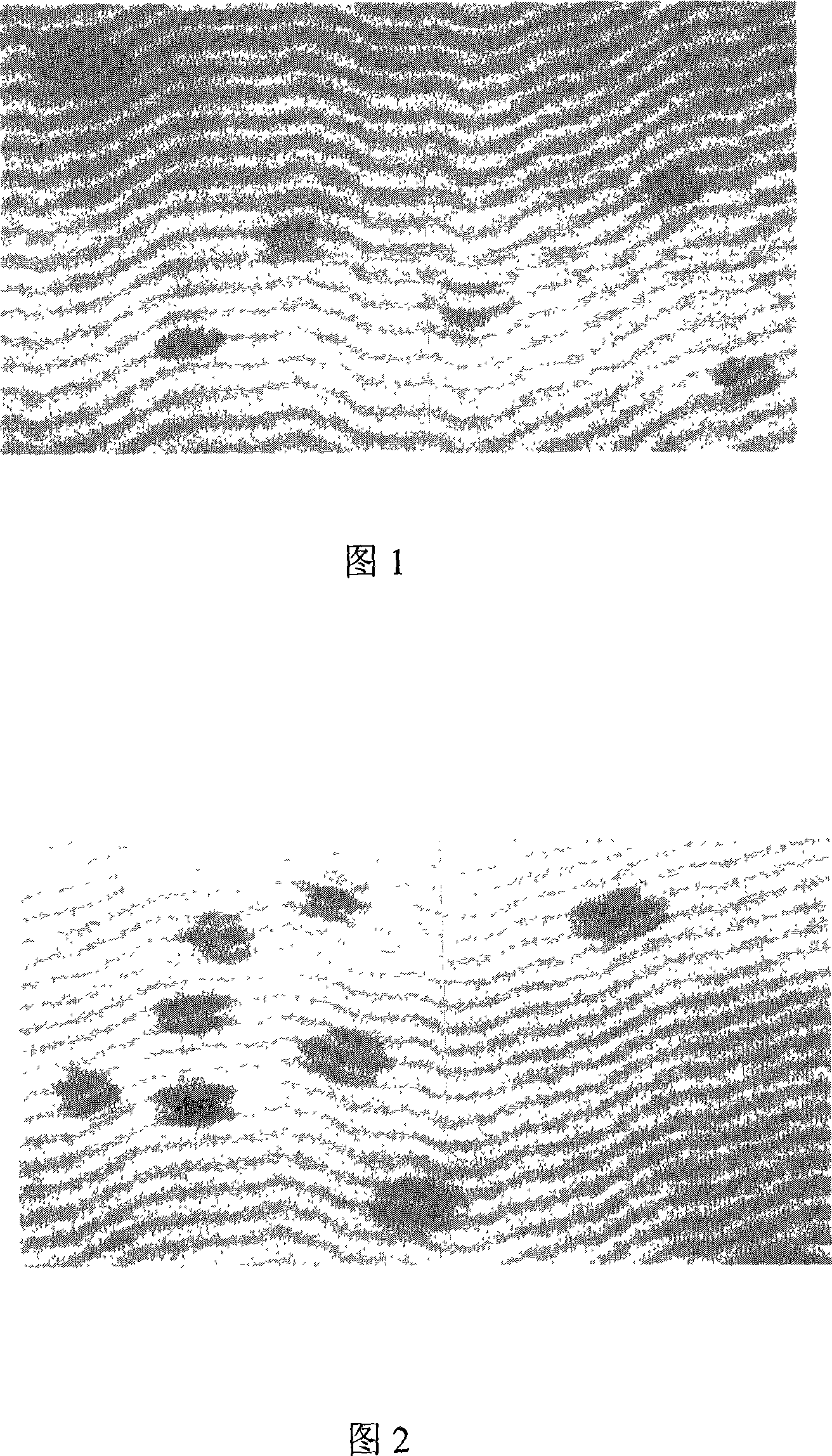 Method for separating and authenticating erythroblast of blood