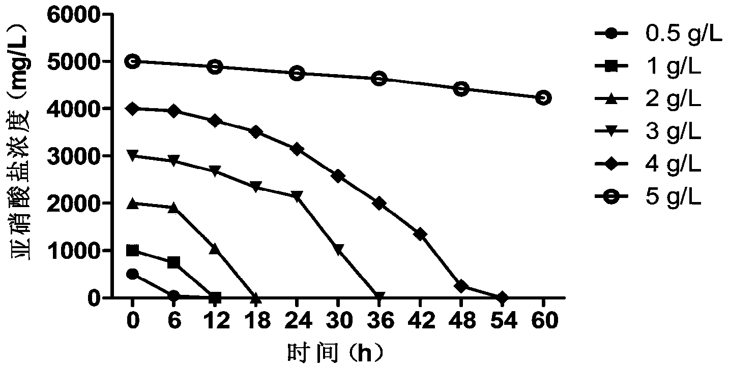 Salt-resistant pseudomonas stutzeri having low-temperature biological denitrification function