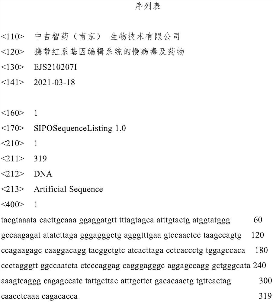 Lentivirus carrying erythroid gene editing system and medicine