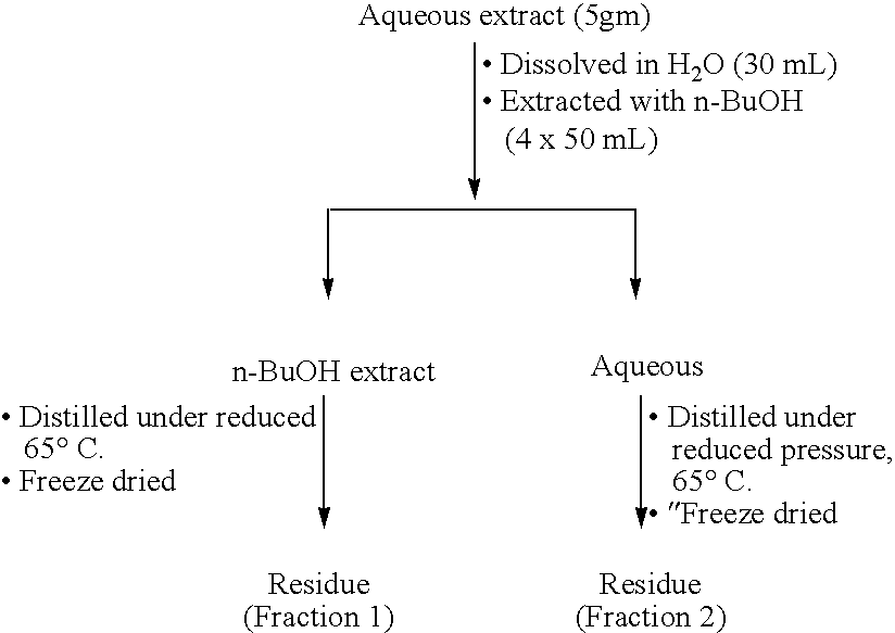 Bioavailability enhancing activity of Carum carvi extracts and fractions thereof