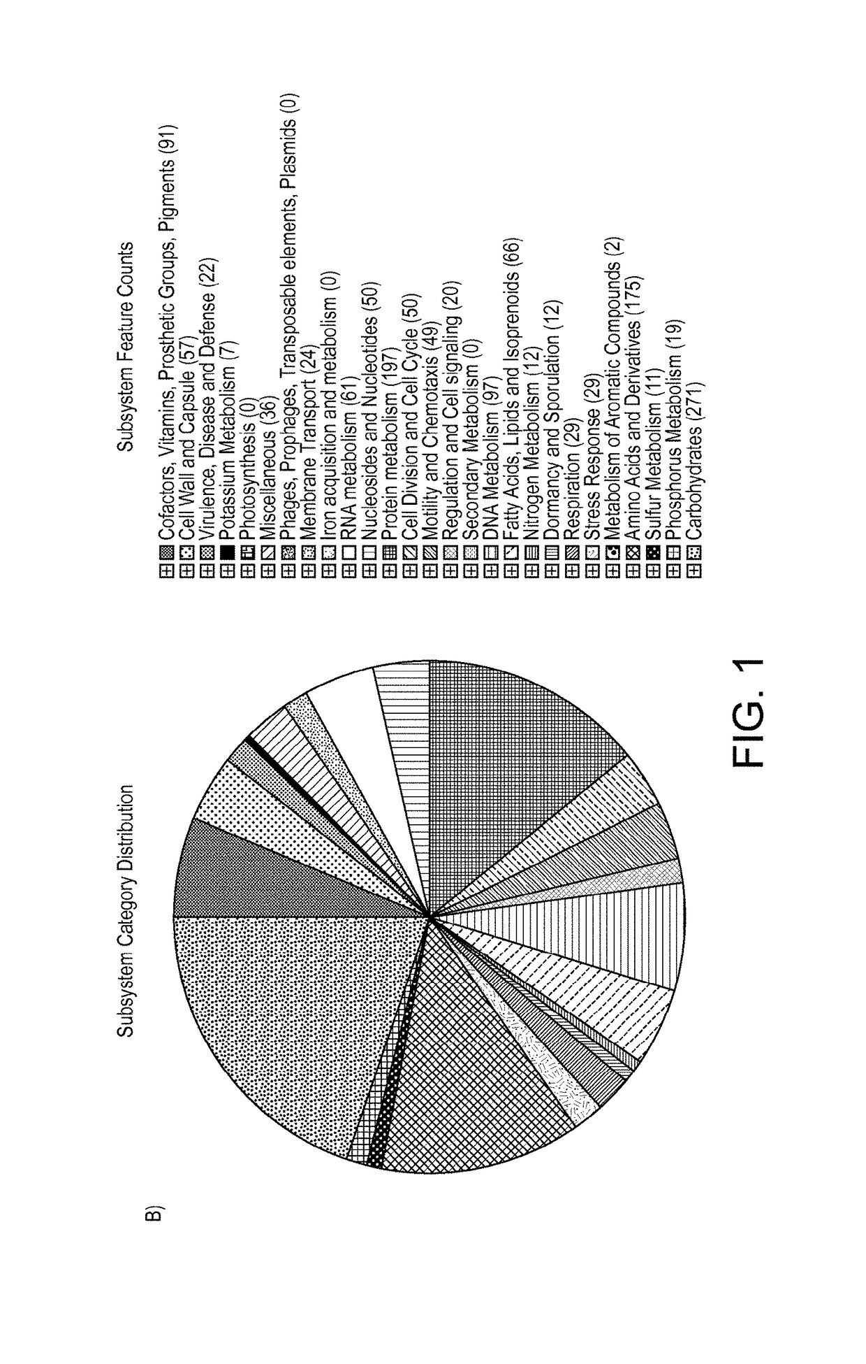 Polypeptide and immune modulation