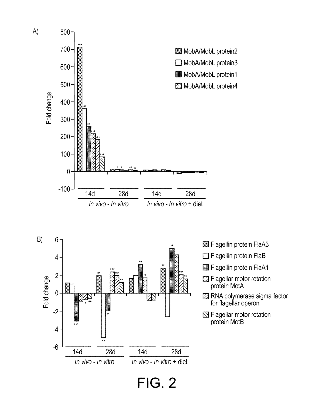 Polypeptide and immune modulation