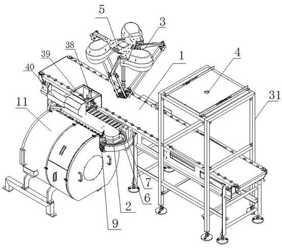 Feeding conveying system of automatic shrimp peeling machine