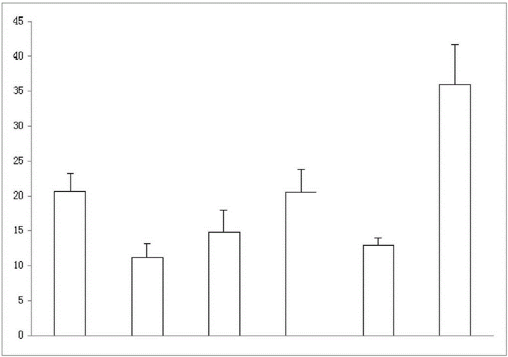 Fructose or medicine composition of fructose, preparation of the medicine composition of the fructose and application of fructose in preparing antiepileptic drugs