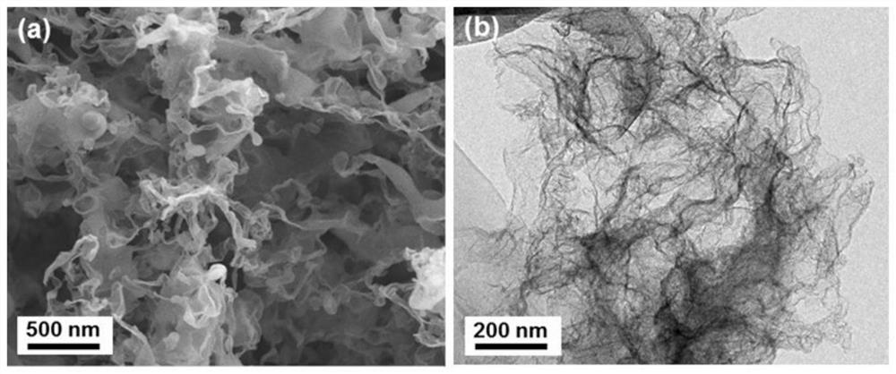 Selenium and nitrogen co-doped biochar catalytic material as well as preparation method and application thereof