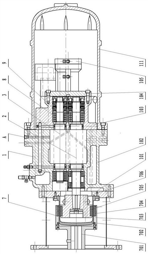 Magnetic suspension screw type gas compressor