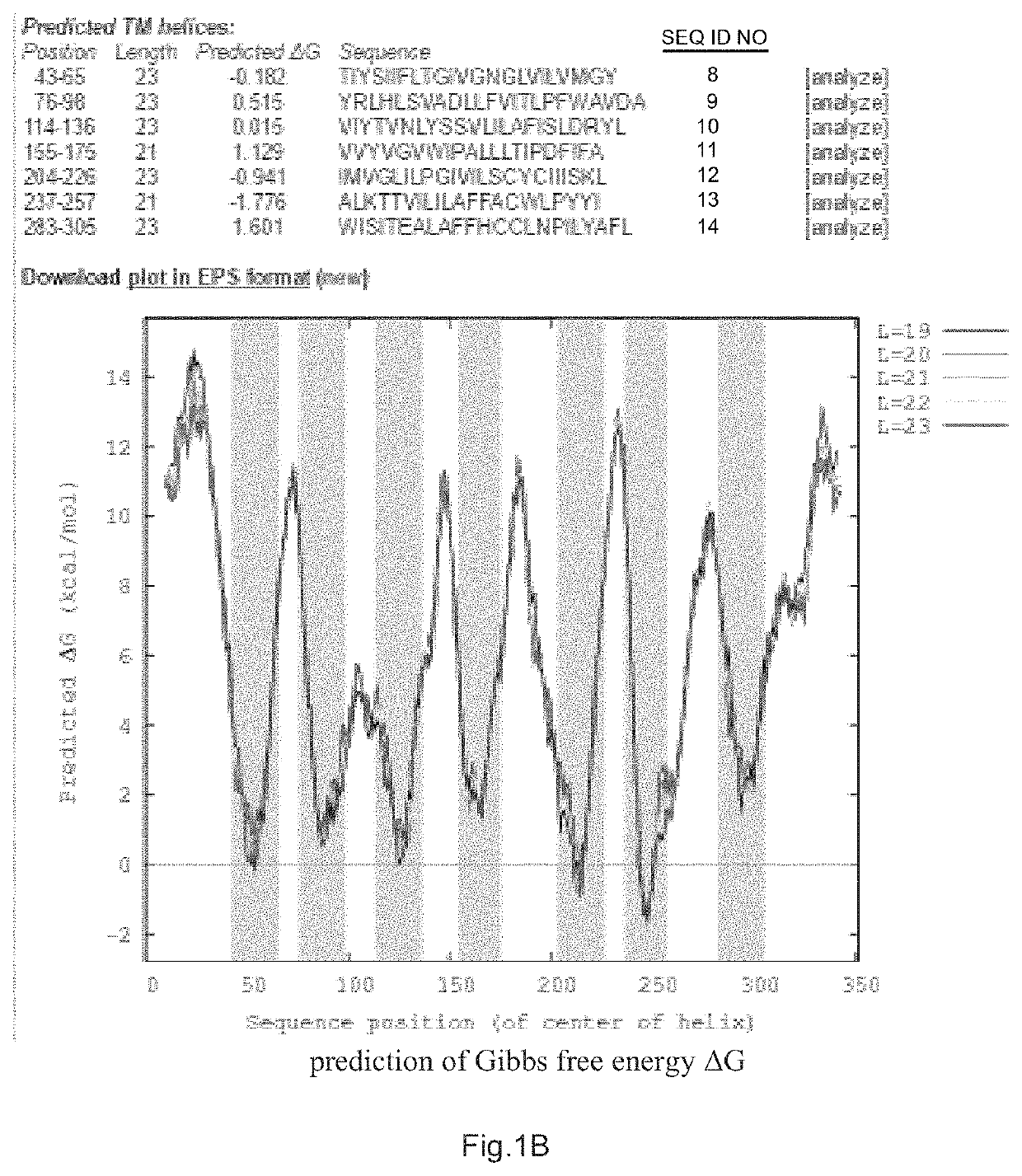 N-terminal recombinant protein of CCR4 and use thereof