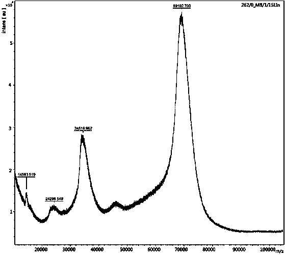 Triclocarban hapten and antigen and preparation method and application