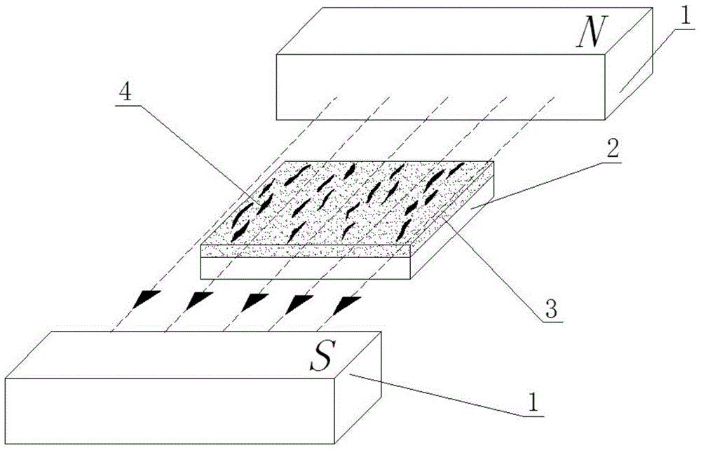 Preparation method and application of PDMS (polydimethylsiloxane)-magnetic nano-particle composite optical film