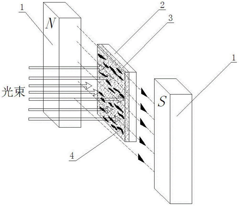 Preparation method and application of PDMS (polydimethylsiloxane)-magnetic nano-particle composite optical film