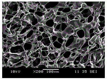 Artificial dermal scaffold and production method thereof