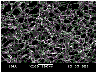 Artificial dermal scaffold and production method thereof