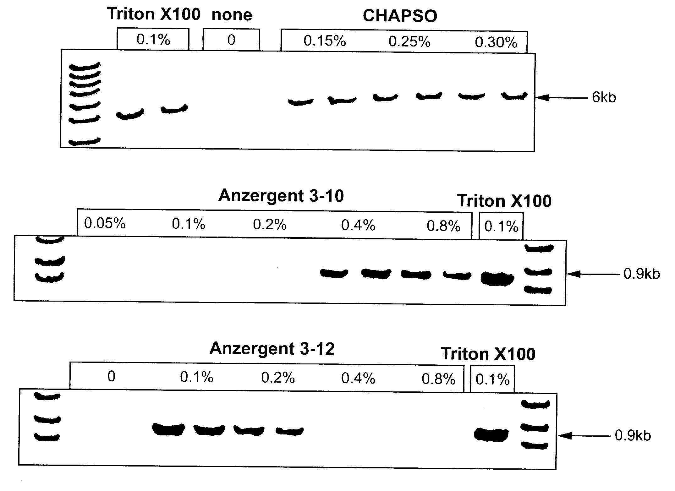 Zwitterionic detergents for the storage and use of DNA polymerases