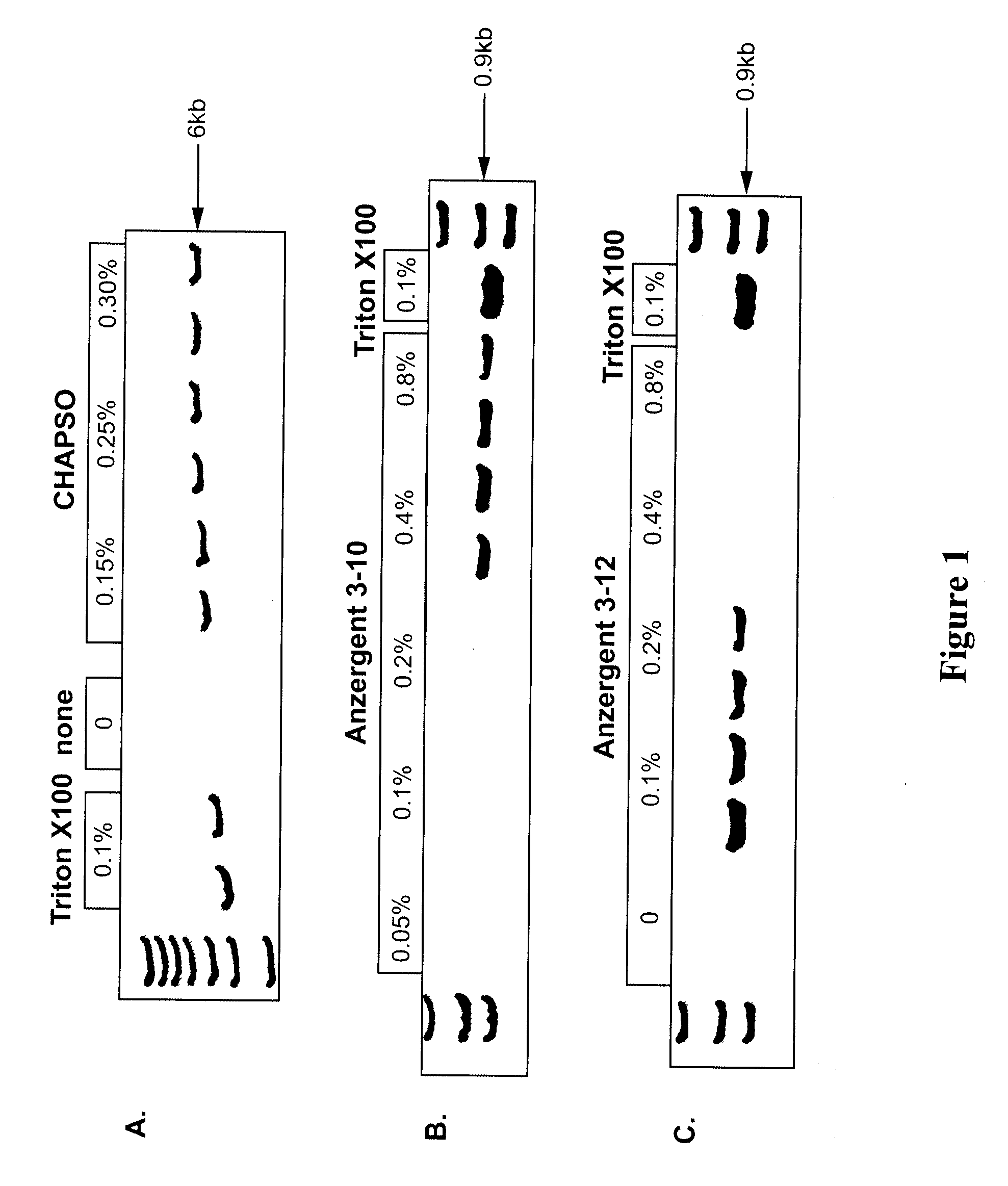 Zwitterionic detergents for the storage and use of DNA polymerases