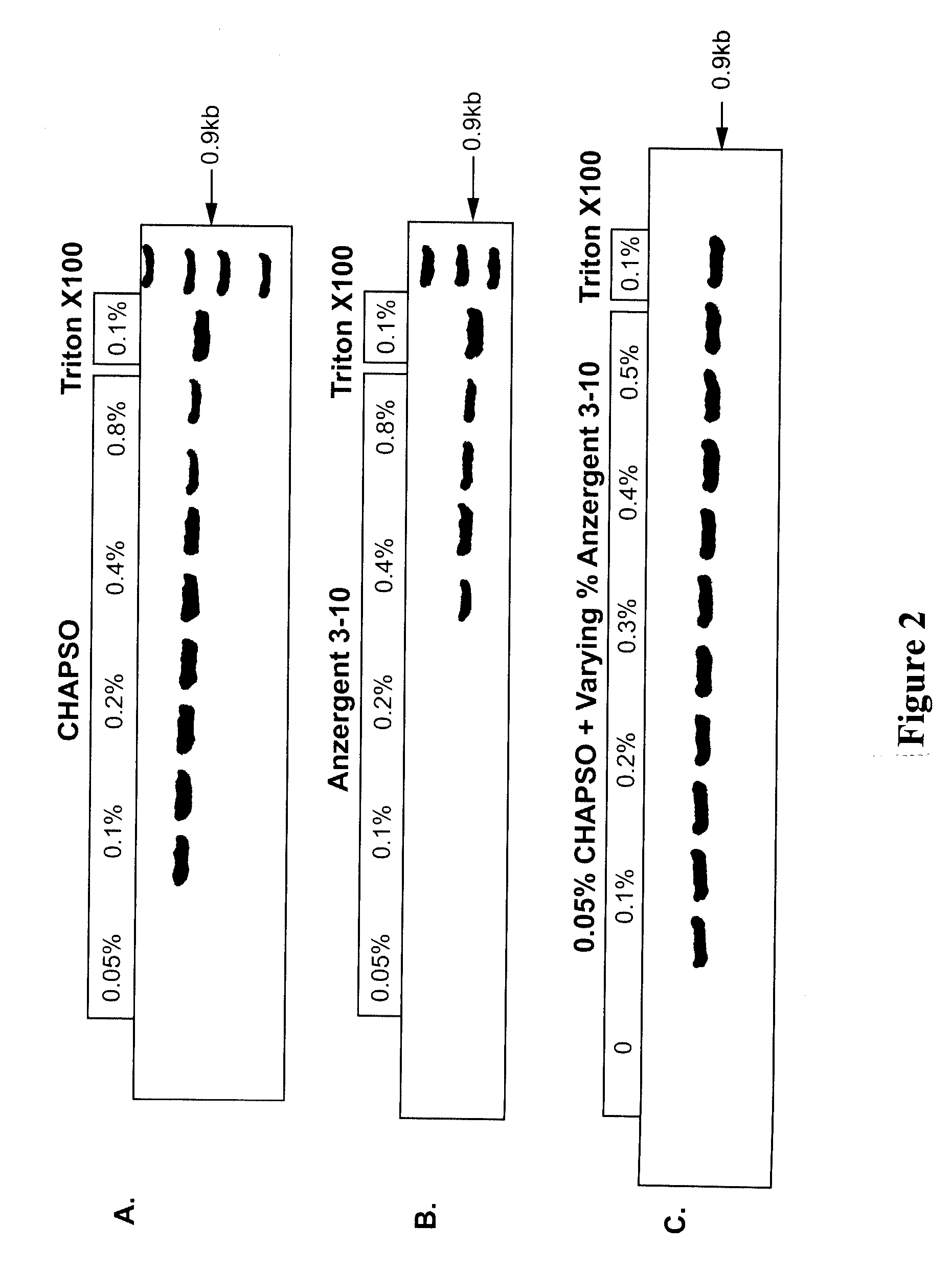 Zwitterionic detergents for the storage and use of DNA polymerases