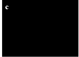 Rhodamine fluorescent probe for detecting ferrous ion, and preparation method thereof