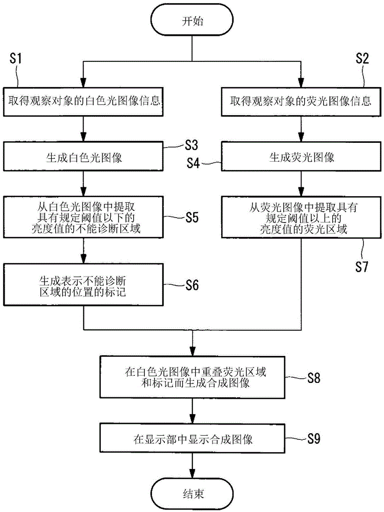 Fluorescence Observation Device and Fluorescence Observation System