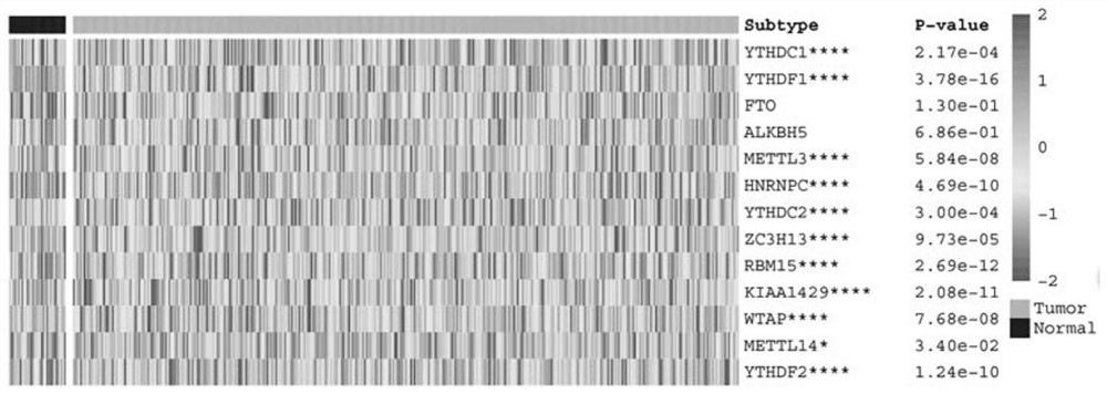 Gastric cancer prognosis model construction based on m6A-related IncRNA network and clinical application