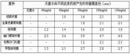 A kind of traditional Chinese medicine compound mouthwash and preparation method thereof