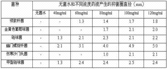 A kind of traditional Chinese medicine compound mouthwash and preparation method thereof