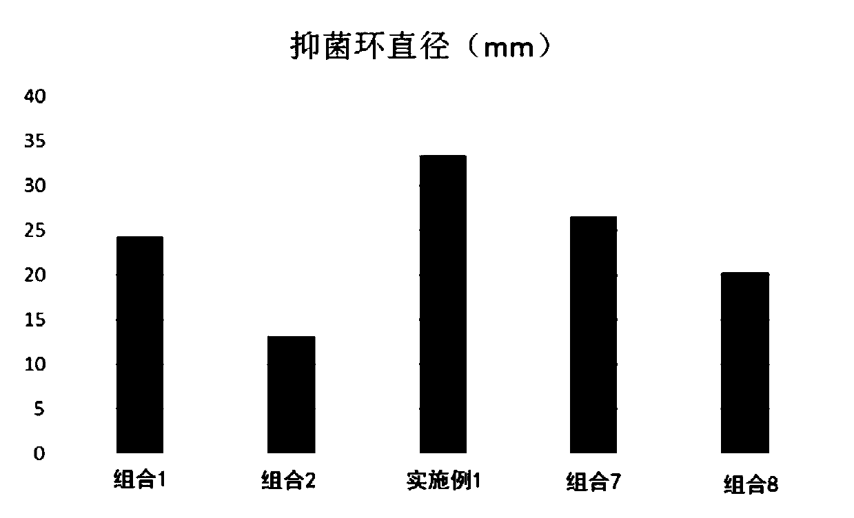 Scalp care shampoo composition and preparation method thereof