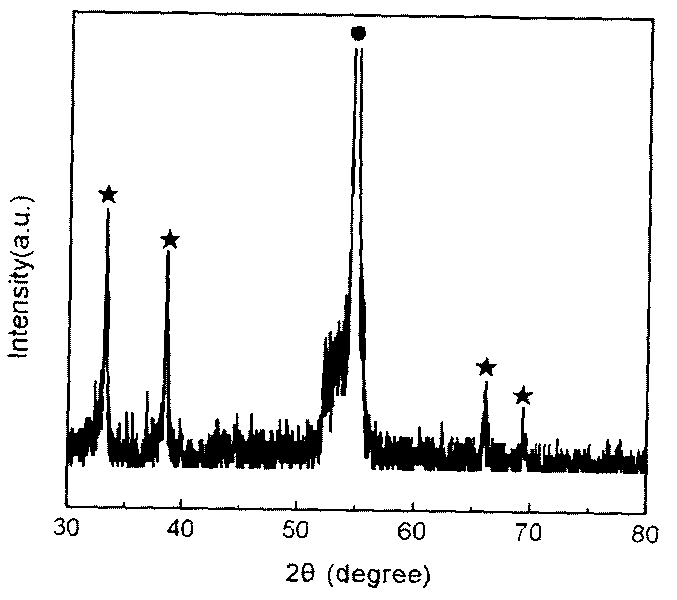 Method for growing CdO nanowire bundle