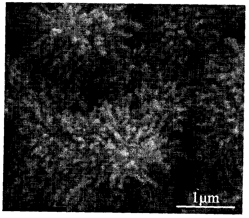 Method for growing CdO nanowire bundle