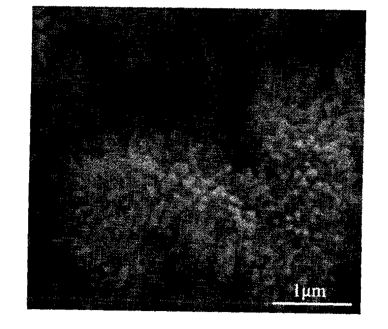 Method for growing CdO nanowire bundle