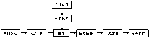 Production process of aspergillus candidus bran koji