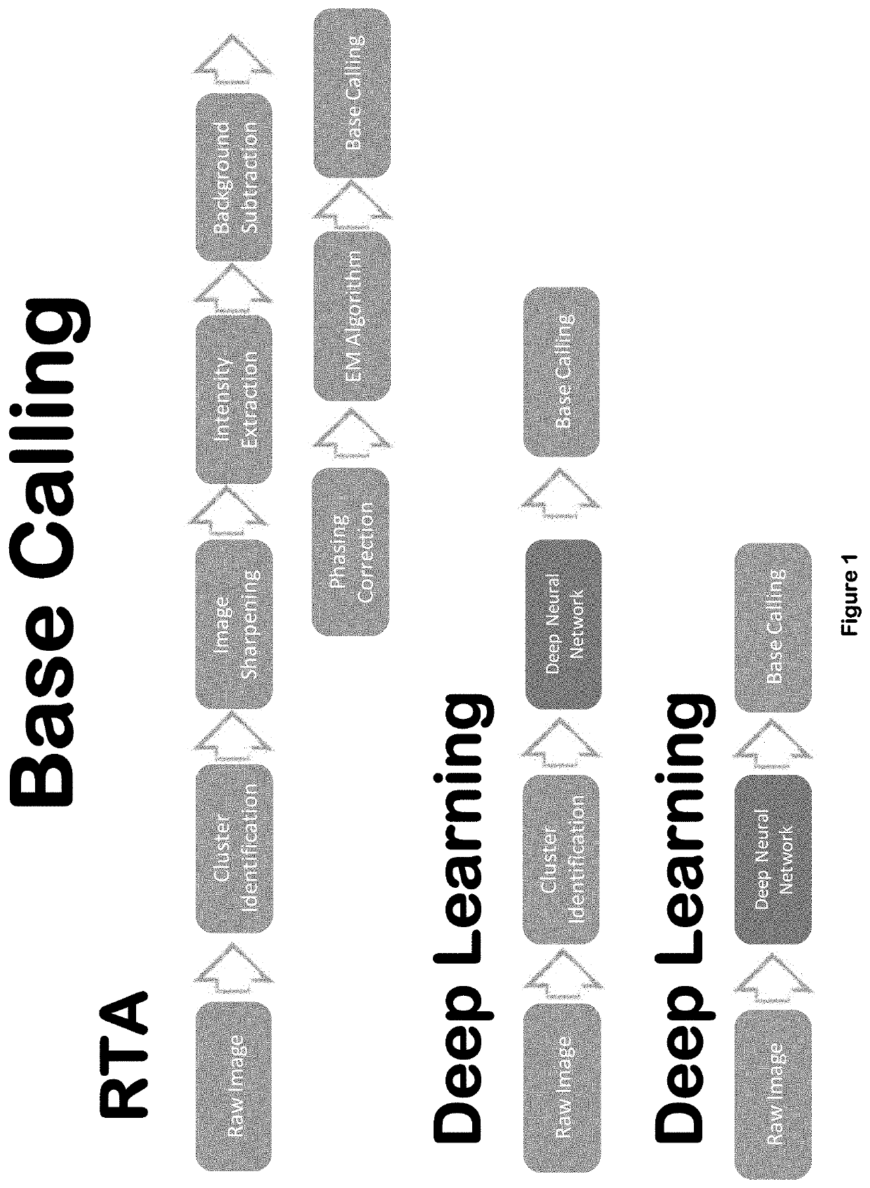 Artificial Intelligence-Based Quality Scoring