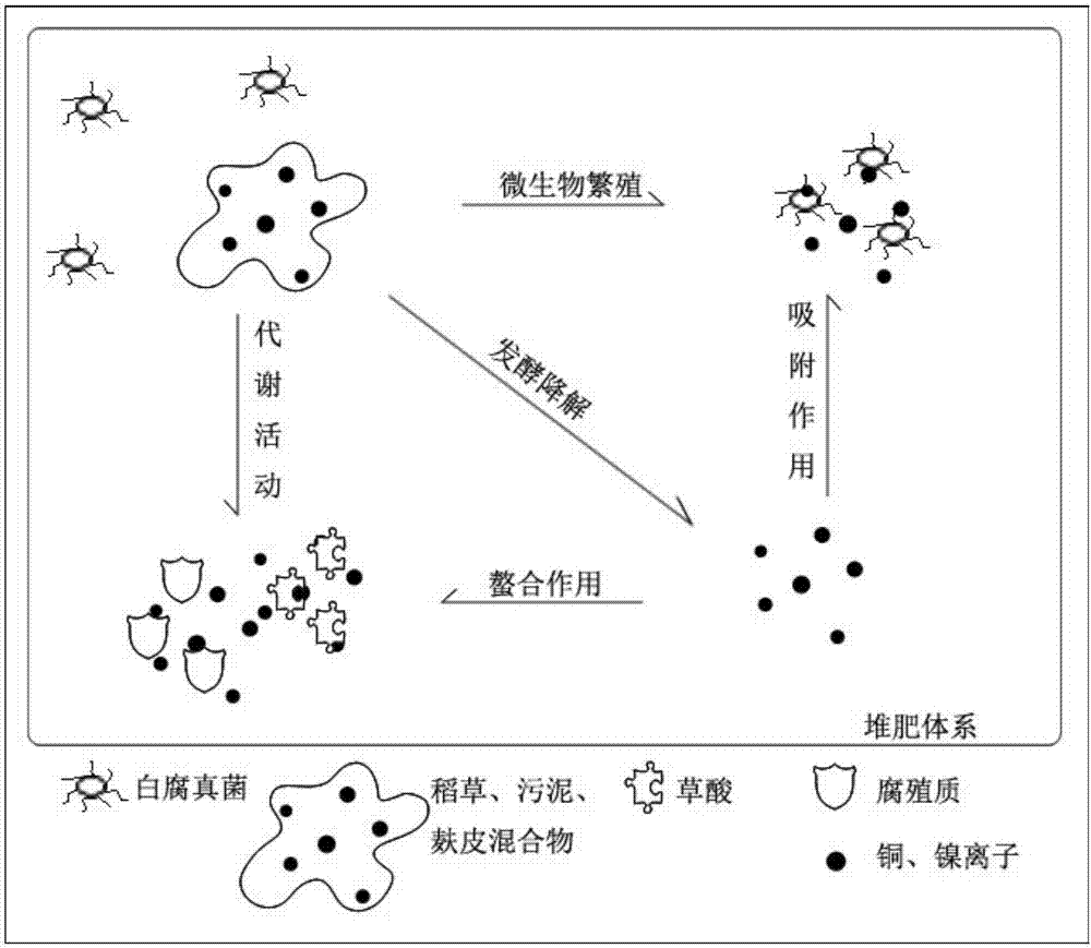 Method for passivating available copper and nickel in municipal sludge by white-rot fungi and compost