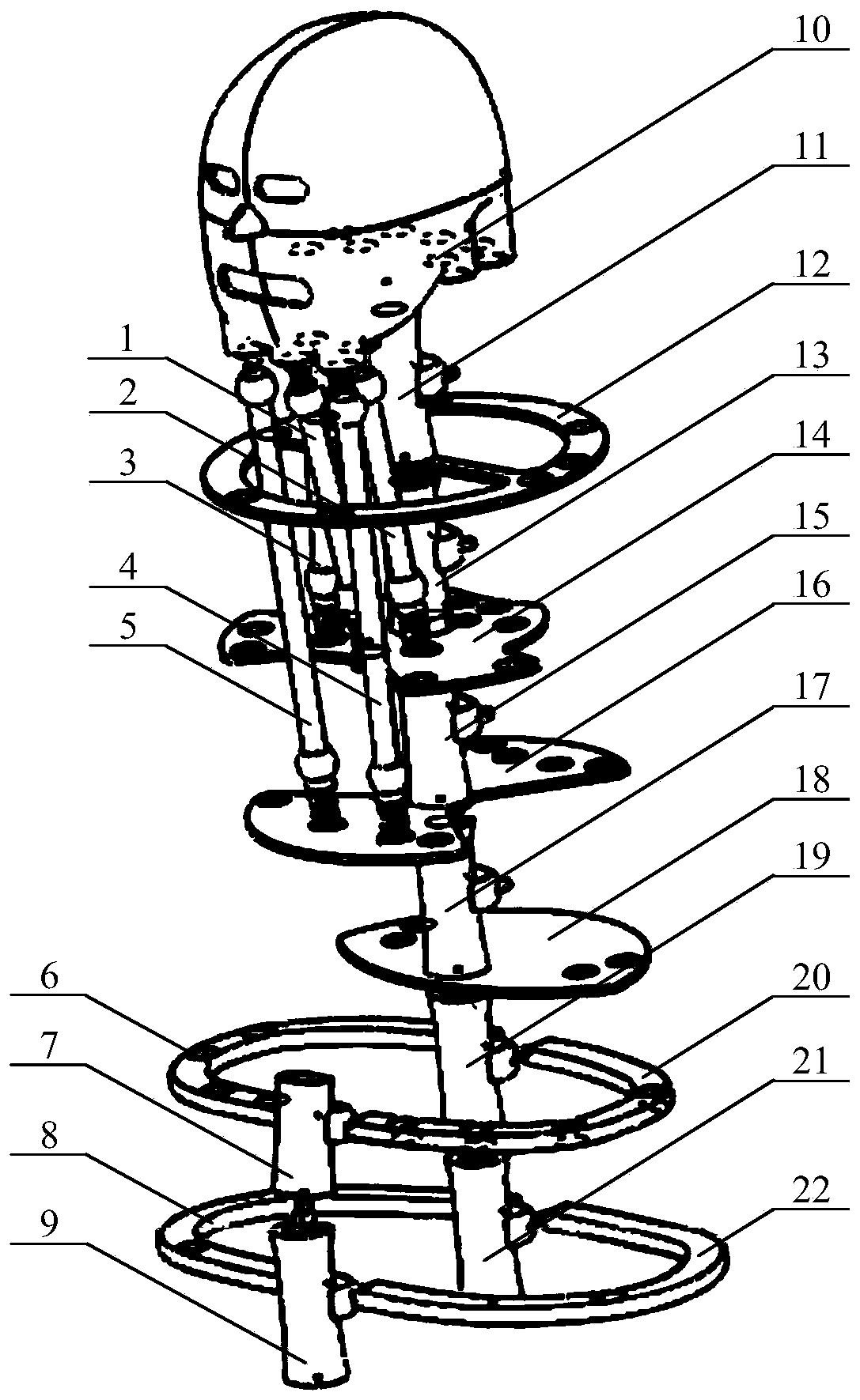 A Humanoid Cervical Spine System Based on Pneumatic Muscles