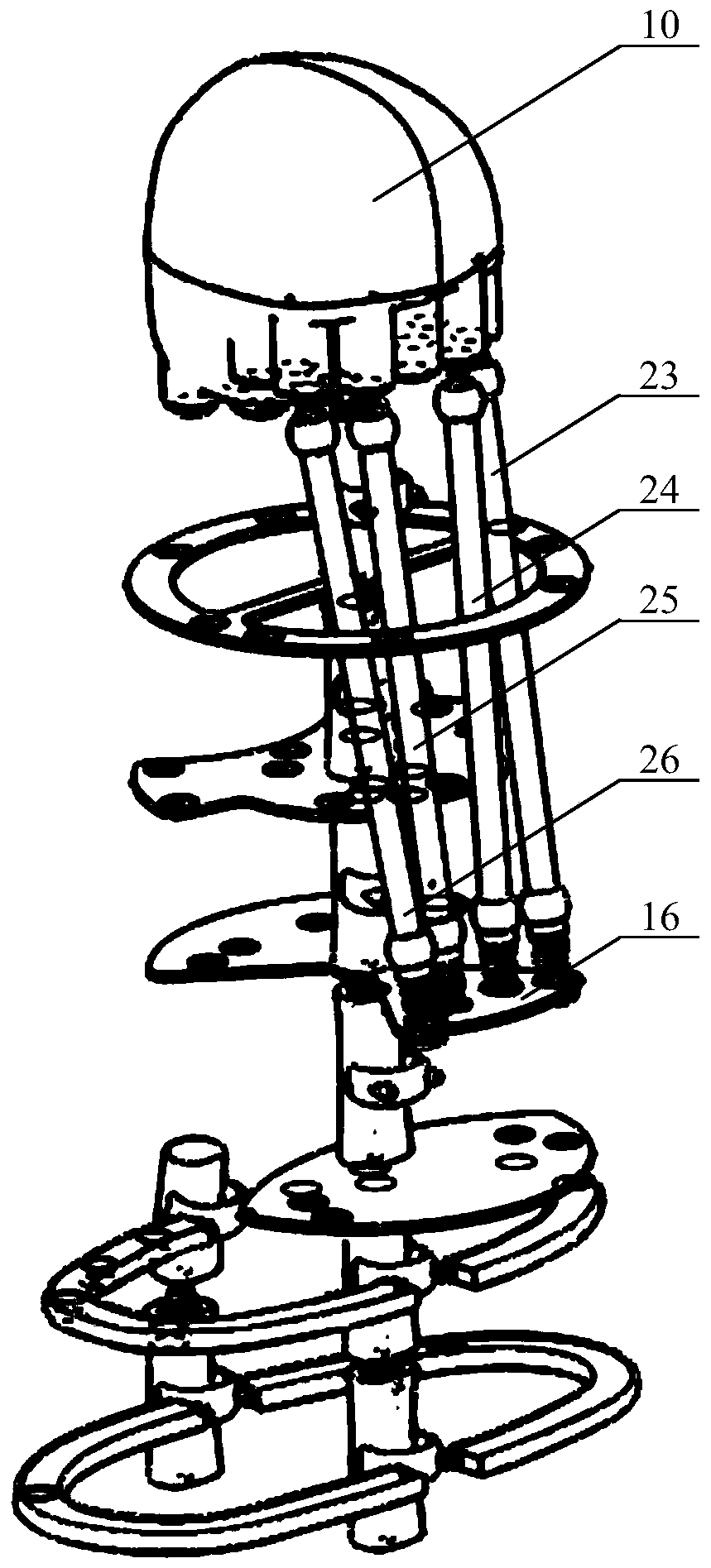 A Humanoid Cervical Spine System Based on Pneumatic Muscles