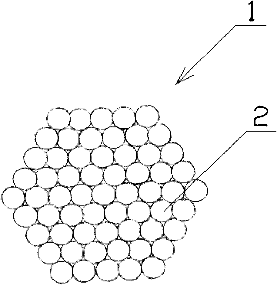 Microbeam proton fluorescence spectrometer