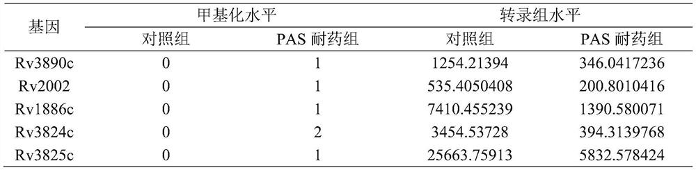 Aminosalicylic acid resistance diagnostic markers of Mycobacterium tuberculosis and its application