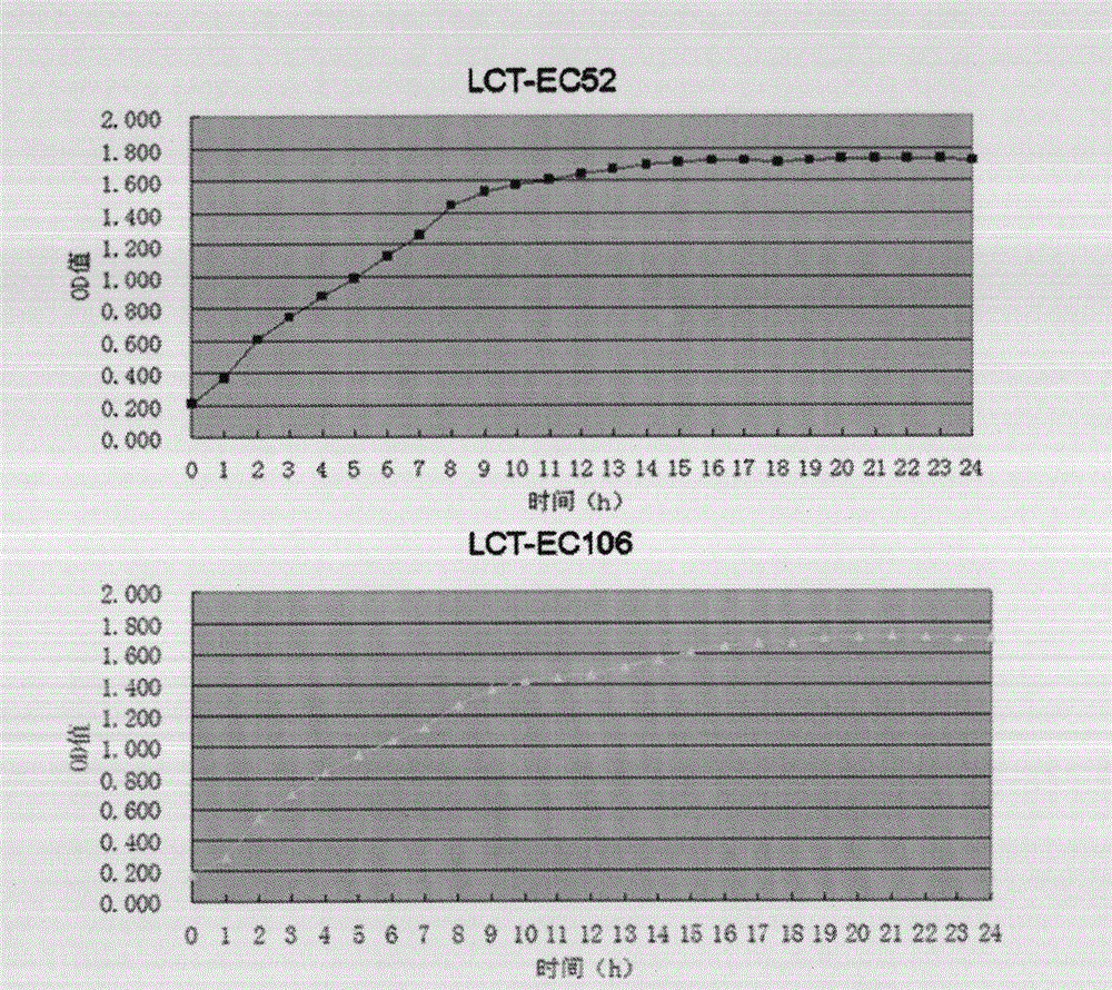 LCT-EC 52 bacteria strain of esherichia coli under space environment