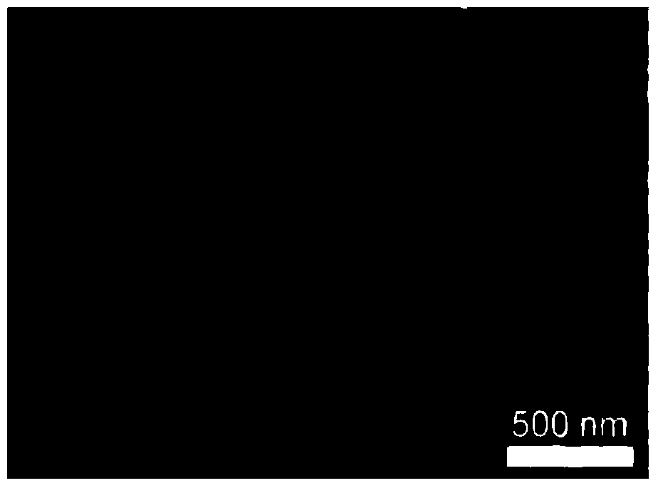 Method for directly synthesizing high conductivity nickel sulfide two-dimension nanosheet array in large scale