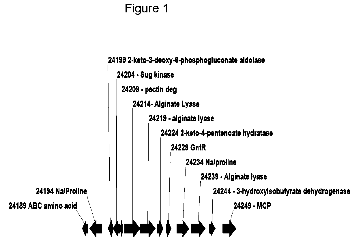 Biofuel production