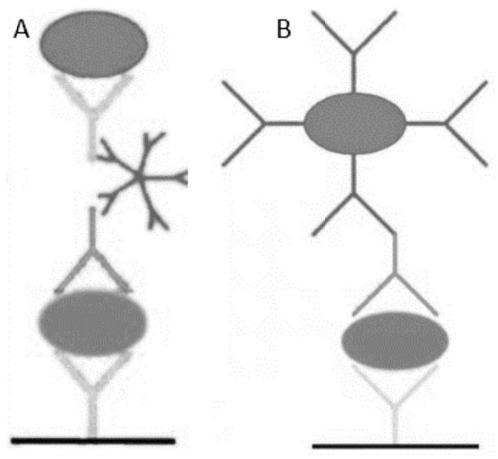 Platelet antibody detection kit, application and detection method