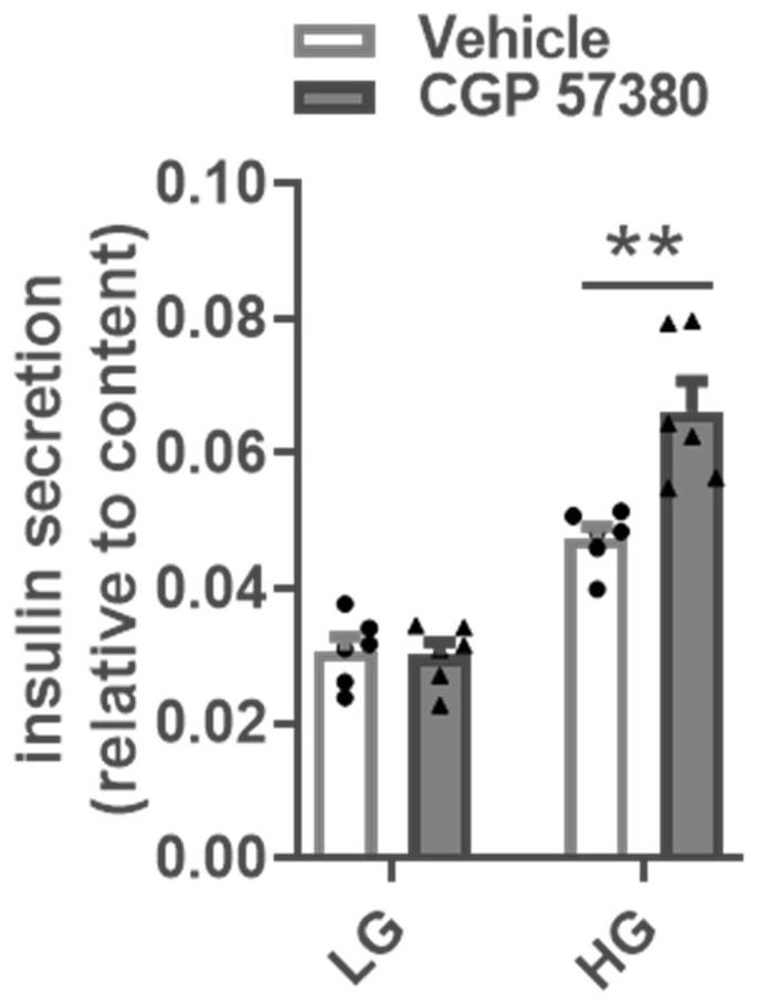 Application of CGP 57380 in preparation of medicine for preventing or treating type 2 diabetes