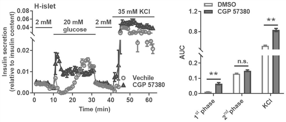 Application of CGP 57380 in preparation of medicine for preventing or treating type 2 diabetes