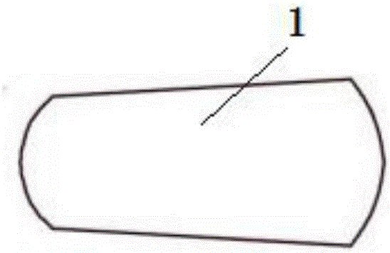 Self-adaptive later-period stable type femoral stem prosthesis