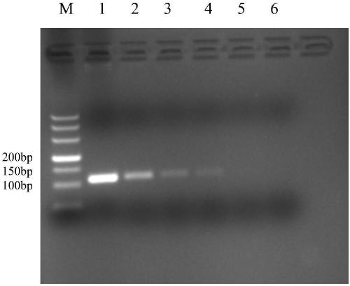 Primer set, reagent, kit and detection method for detecting and/or assisting detection of GI type norovirus