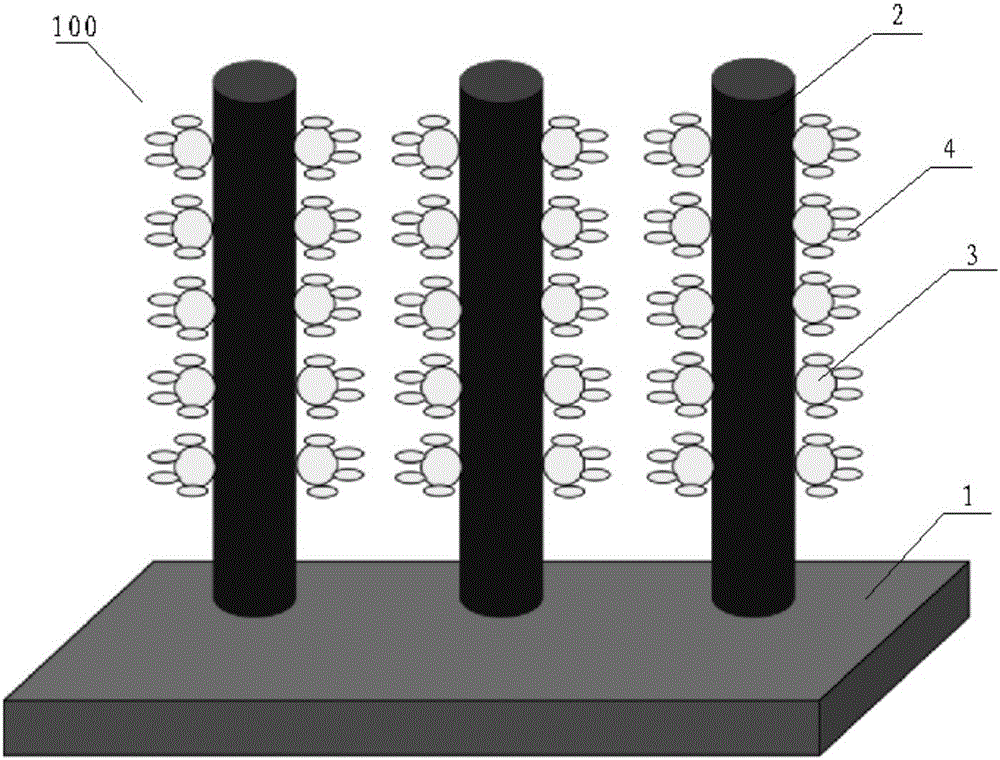 TiO2/BiVO4 photo-anode material and preparation method thereof