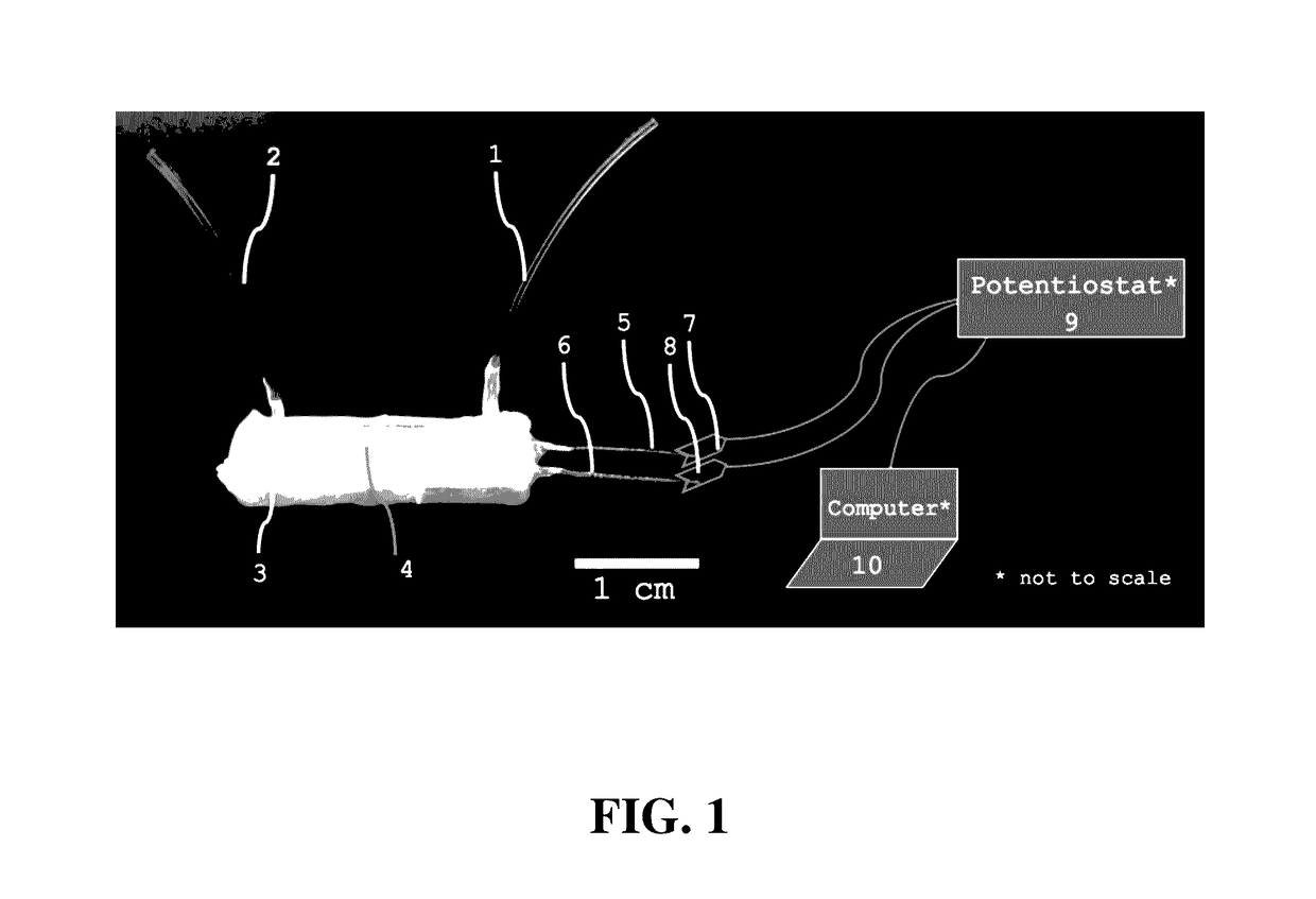 Microfluidic capture and detection of biological analytes